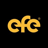 EFE Consulting Group™