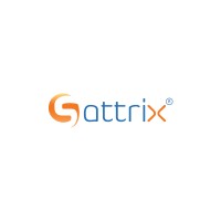 Sattrix Information Security