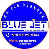 BLUEJET COMPANY