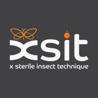 XSIT