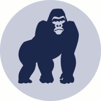BlueKong Networks