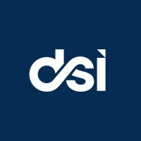 Dynamic Standards International (DSI)
