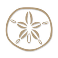 Sand Dollar Dubai Beachwear Boutique