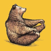 Brawny Bear Nutrition