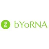 bYoRNA