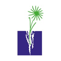 Domus Assistenza società cooperativa sociale