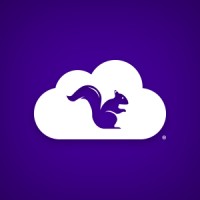 Squirrels