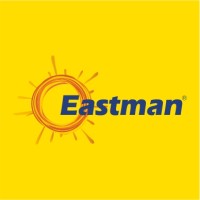 Eastman Auto & Power Limited