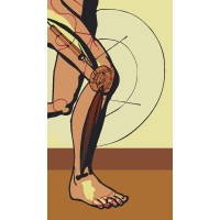 ADAPTIVE PROSTHETICS & ORTHOTICS LLC