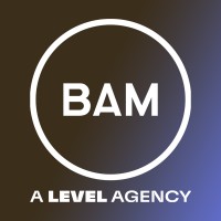 BAM Strategy