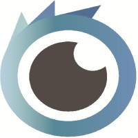 Visual-Eyes Software