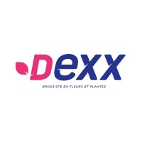 DEXX - Grossiste en fleurs et plantes