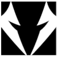 White Wolf Capital Group