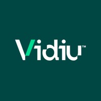 Vidiu