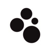 Spot AI
