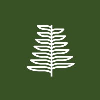 Jackfir