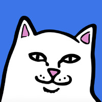 RIPNDIP