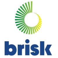 Brisk Dynamics