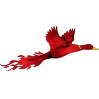 Fireduck Limited