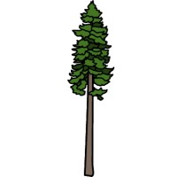 Cascadia Sales