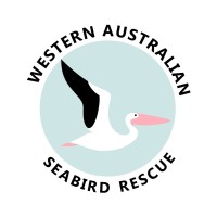 Western Australian Seabird Rescue