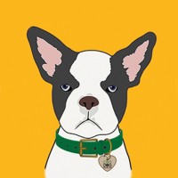 CBD Dog Health