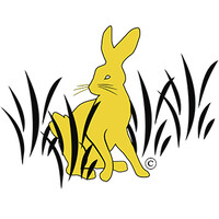 Golden Rabbit Home