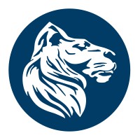 Löwenstark Online-Marketing GmbH