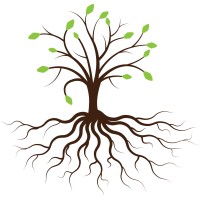 Serenity Christian Counseling