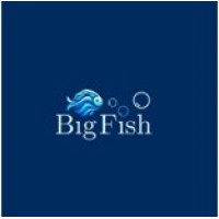 Big Fish International