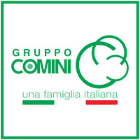 Gruppo Comini