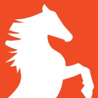 Stallion Infrastructure Services