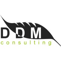 DDM Consulting