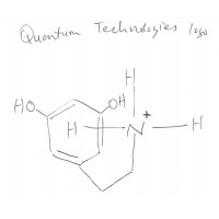 QUANTUM TECHNOLOGIES LIMITED