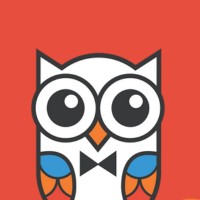CultureOwl