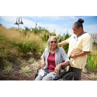 Certified Nurse Aide Program