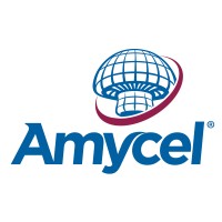 Amycel