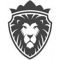 Lion Guard Security