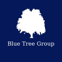Blue Tree Group | Investment Banking