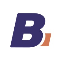 BLiNKAI Automotive