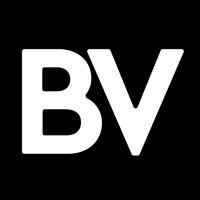 BlendVision AI