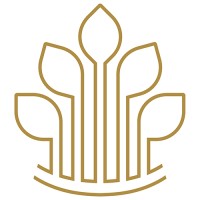 Stone Oak Wealth Management