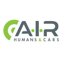 Automotive International Retailer
