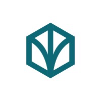 BSF Capital