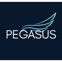 Pegasus Strategy Co.