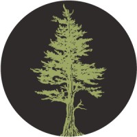 Jackpine