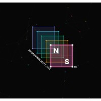 Neurosimplicity, LLC