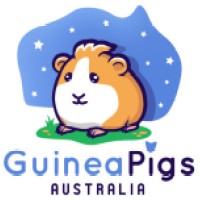 Guinea Pigs Australia Pty Ltd