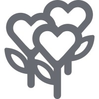 Fundación Xilema
