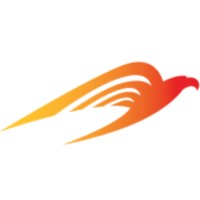 SkyEagle Aviation Academy